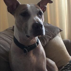 Meet your Posher, Matt